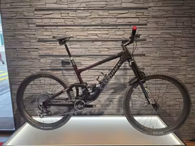 SPECIALIZED Enduro S-Works Custom