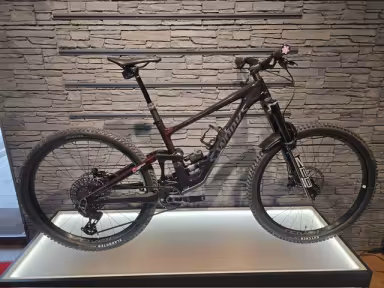SPECIALIZED Enduro S-Works Custom