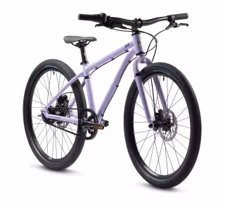 Early Rider Belter 24''