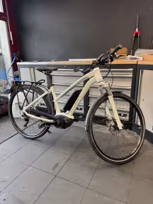 Flyer Ts 7.70 45 Km/H