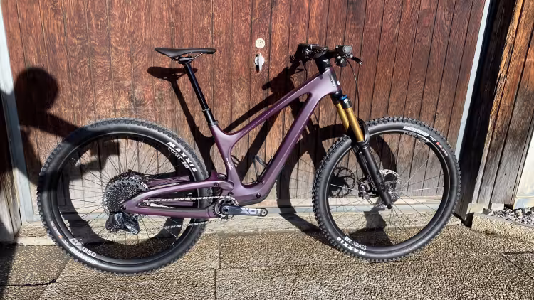 Bold Linkin 135 Ultimate