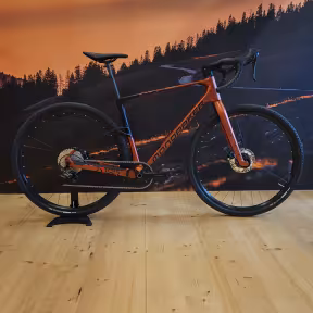 Mondraker ARID CARBON