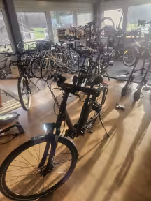 Kalkhoff Include Premium