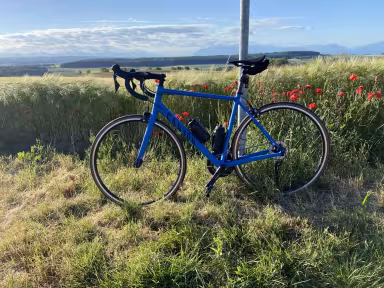 Canyon Endurace 7 Rb