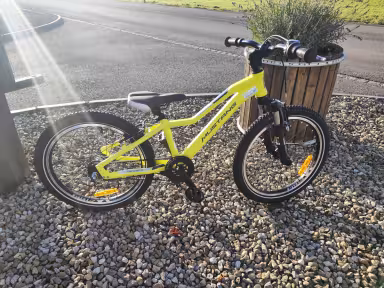 Mustang Fury SL Belt 20