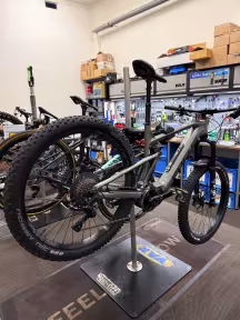 Focus Jam 2 6.8 Plus