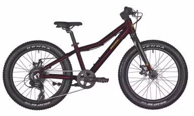 Bergamont Bergamonster 20 Plus