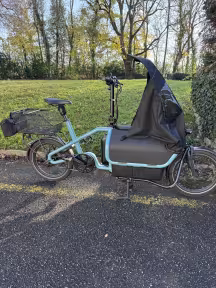 Riese & Müller Carrie Vario