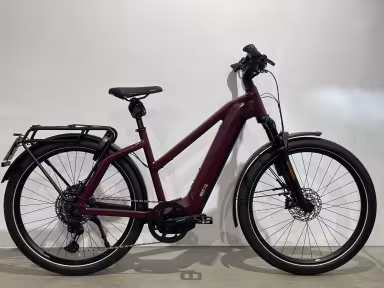 Riese & Müller Charger4