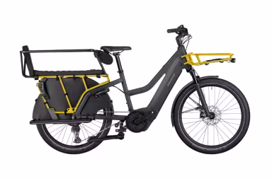 Riese & Müller Multicharger3 Mixte Family