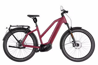 Riese & Müller Charger