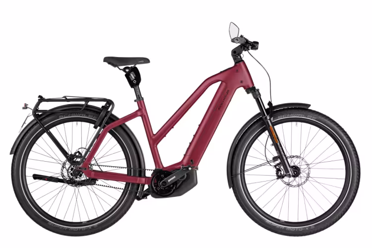 Riese & Müller Charger