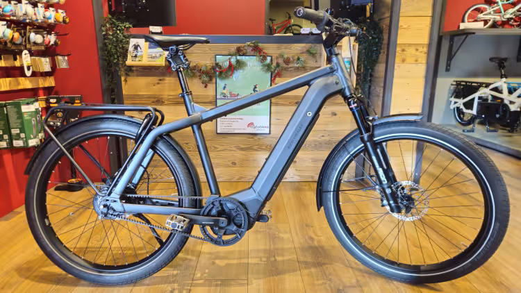 Riese & Müller Charger GT vario