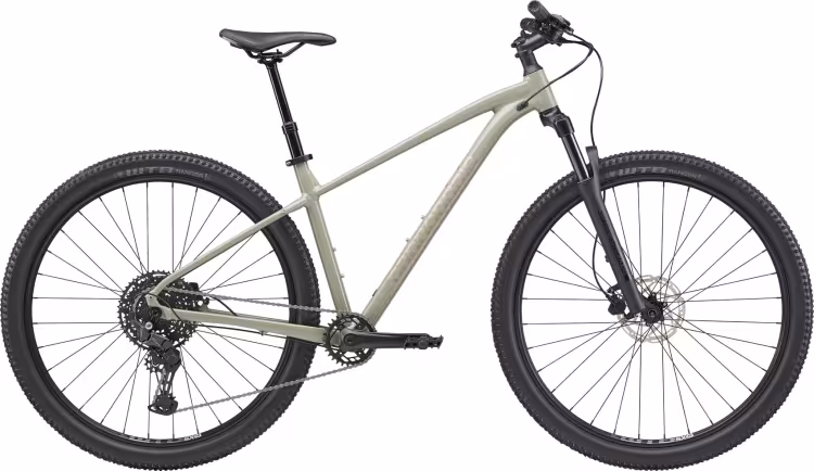 Cannondale Trail SL 1
