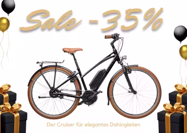 Riese & Müller Cruiser Mixte vario