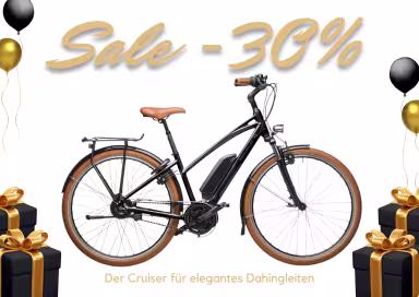 Riese & Müller Cruiser Mixte vario