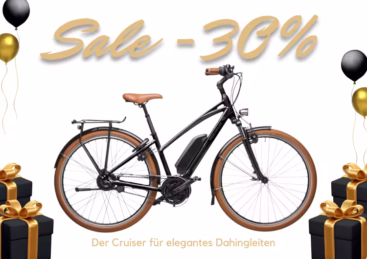 Riese & Müller Cruiser Mixte vario