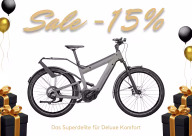 Riese & Müller Superdelite Gt Touring