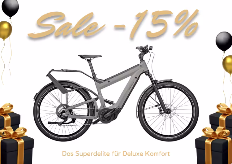 Riese & Müller Superdelite Gt Touring