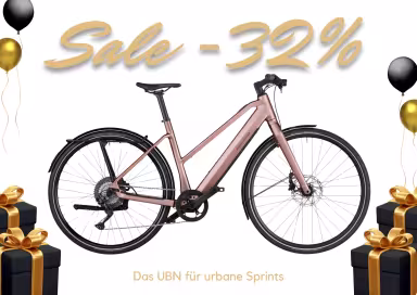 Riese & Müller Ubn Seven Touring