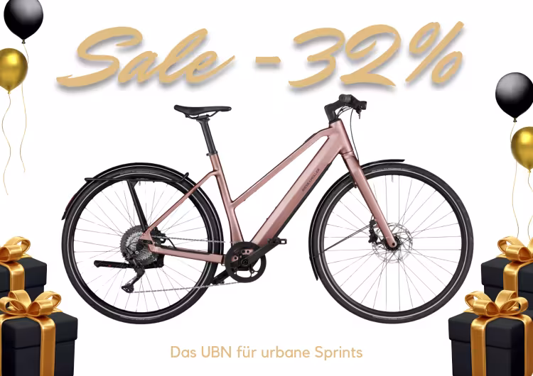 Riese & Müller Ubn Seven Touring
