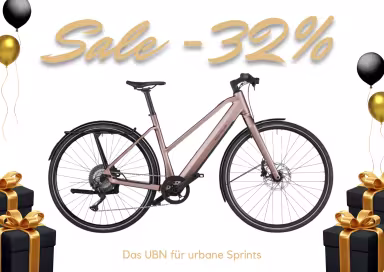 Riese & Müller Ubn Seven Touring