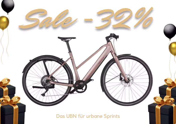 Riese & Müller Ubn Seven Touring