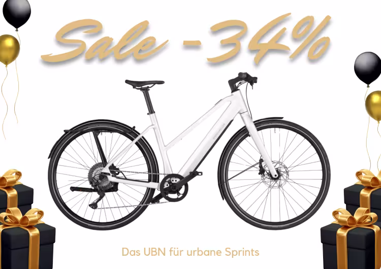 Riese & Müller Ubn Seven Touring