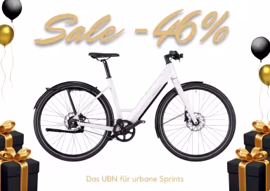 Riese & Müller Ubn Six Silent