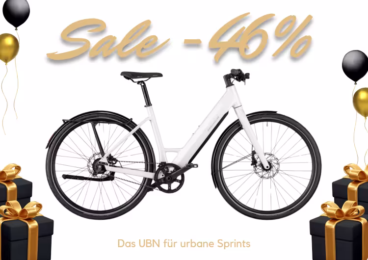 Riese & Müller Ubn Six Silent