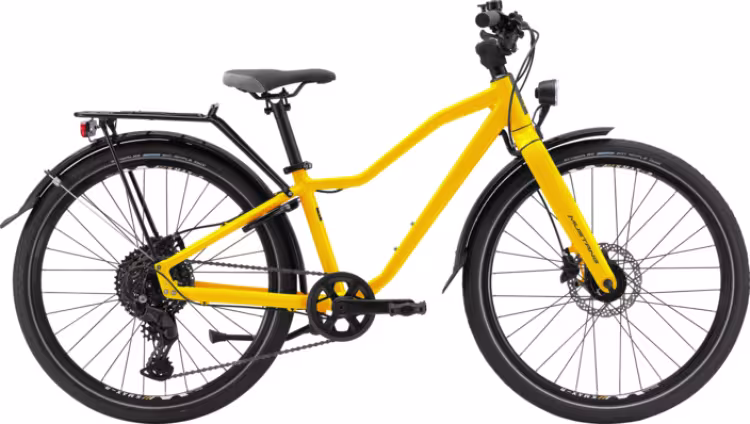 Mustang Appaloosa 24