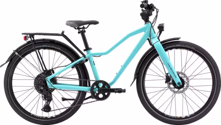 Mustang Appaloosa 24