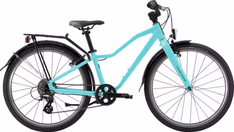 Mustang Appaloosa 24