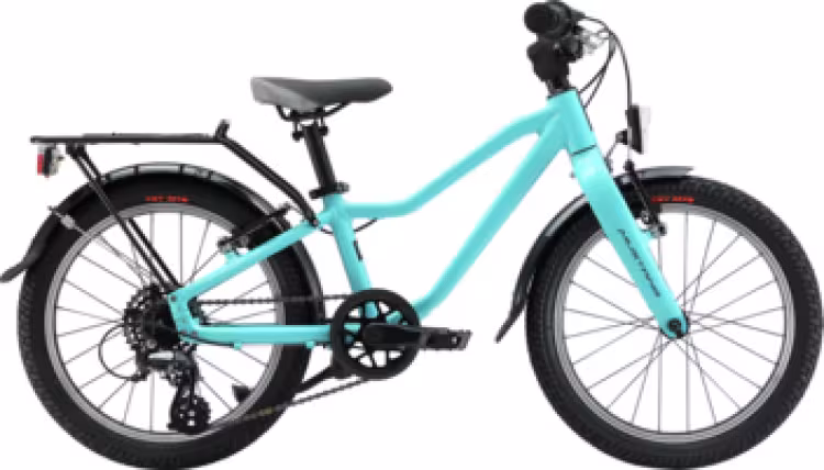 Mustang Appaloosa 18