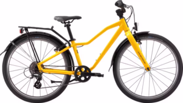 Mustang Appaloosa 24