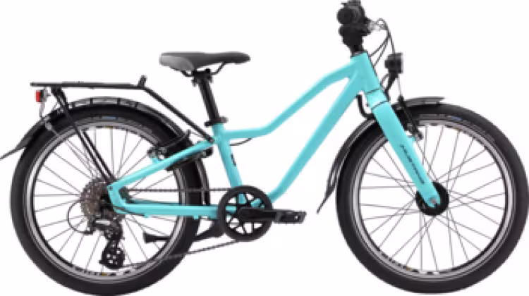 Mustang Appaloosa 20