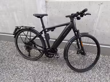 Riese & Müller Roadster Hs