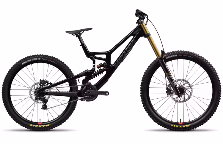 Santa Cruz V10 Dh Xo1