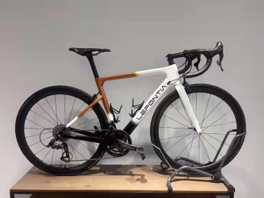 Other Lepontia, Campagnolo Record 2X12, Patins, Roues Carbones