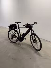 Riese & Müller Roadster 4 Touring