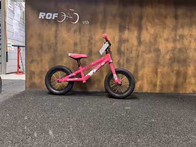 SCOTT Dresienne Rose Occasion