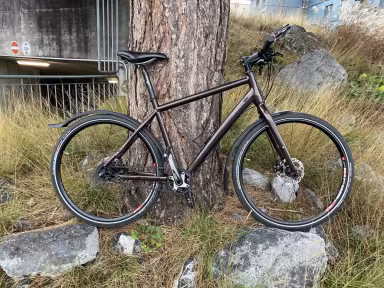 NS Bikes Super Light