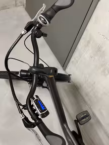 Crosswave Female City Bike