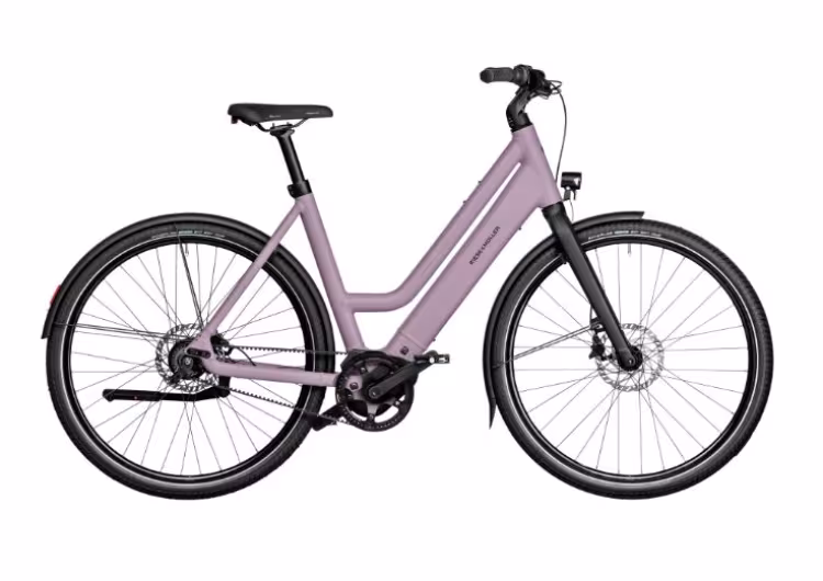 Riese & Müller Culture