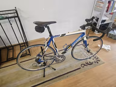 Cannondale Synapse - Carbone