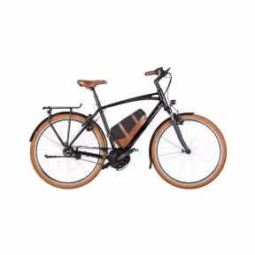Riese & Müller E-Bike Cruiser2 Vario 25