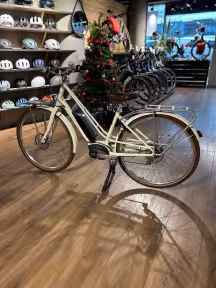 Electra Loft Go! 5i EQ Step-Thru 500 Wh