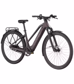 Bergamont Helix 10 Belt Slope