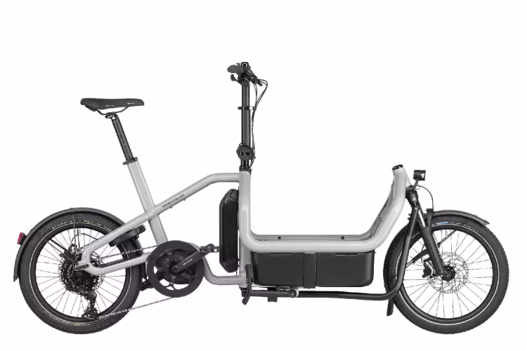 Riese & Müller E-Bike Cargo Carrie Touring