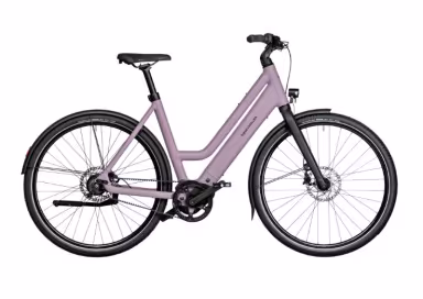 Riese & Müller Culture